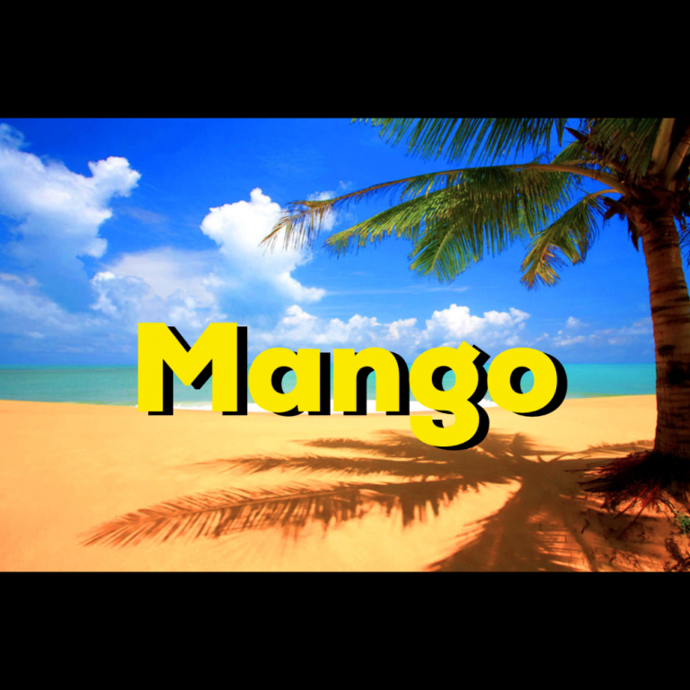 AGUA FRESCA DE MANGO