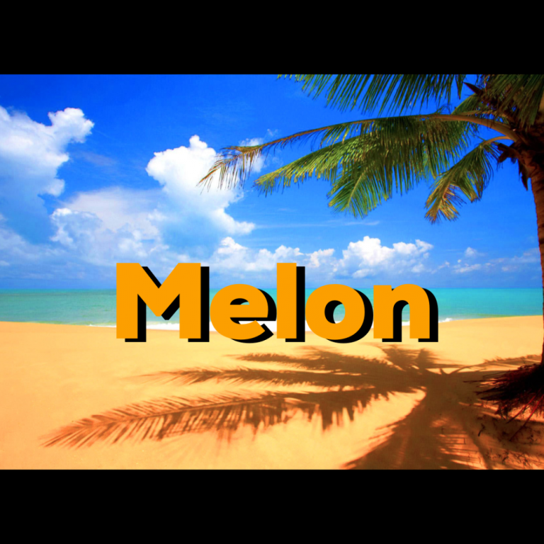 AGUA FRESCA DE MELON