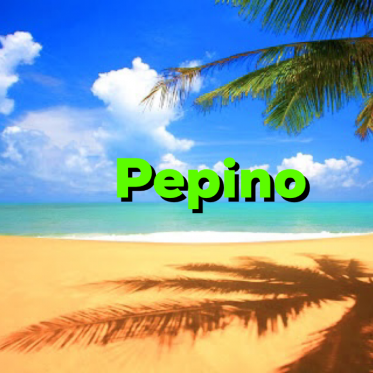 AGUA FRESCA DE PEPINO