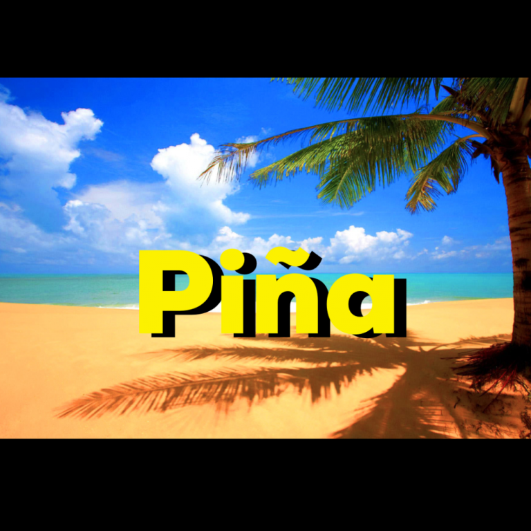 AGUA FRESCA DE PINA